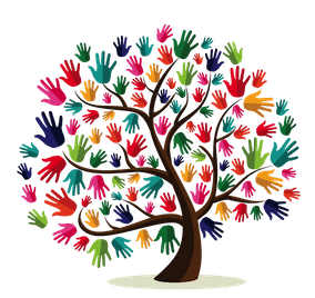 koyzina allileggyhs volou